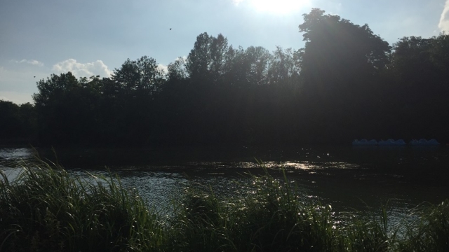 Chalons en champagne Le Jard Roseaux et rivière